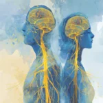 A watercolor illustration of the central nervous system in two human figures, representing the body's response to nervous system regulation tools.