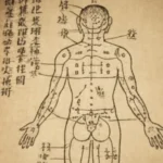 An illustrative chart of the main EFT tapping points on a human silhouette, with lines showing their connection to the body's meridian system, organs, and associated emotions.