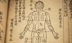 Mentor’s Corner: The Body’s Ancient Map — How EFT Points Link to Organs and Emotions